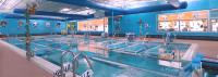 Bear Paddle Swim School - Turnersville image 1